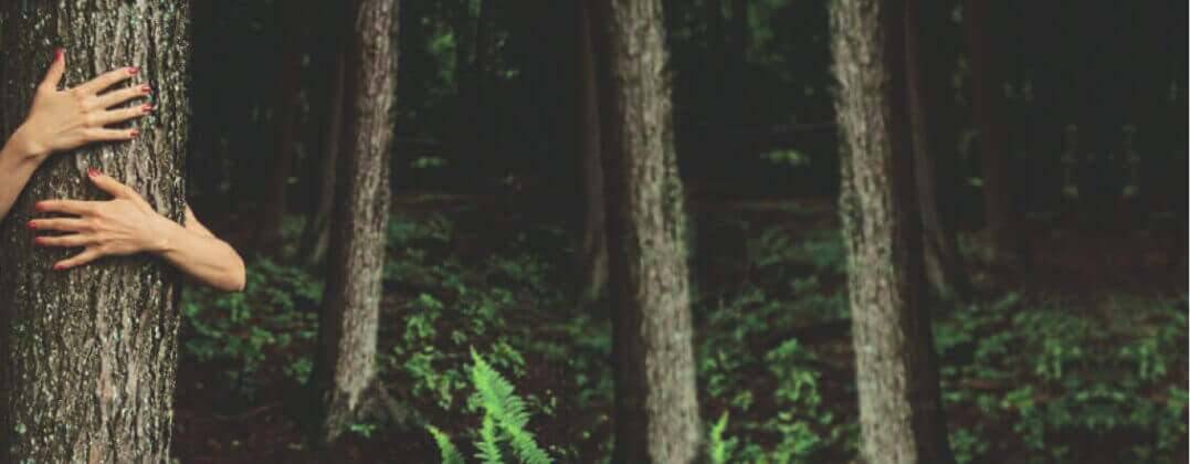 A forest in which one tree is embraced by female hands.